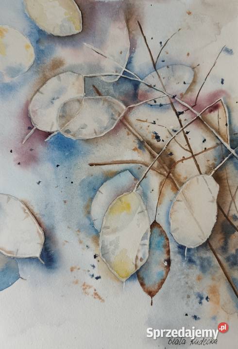 Akwarela Akwarelka Obraz pt Lunaria zachodniopomorskie Kołobrzeg
