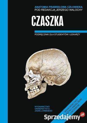 Anatomia prawidłowa człowieka czaszka fa medycyna, nauki medyczne zachodniopomorskie