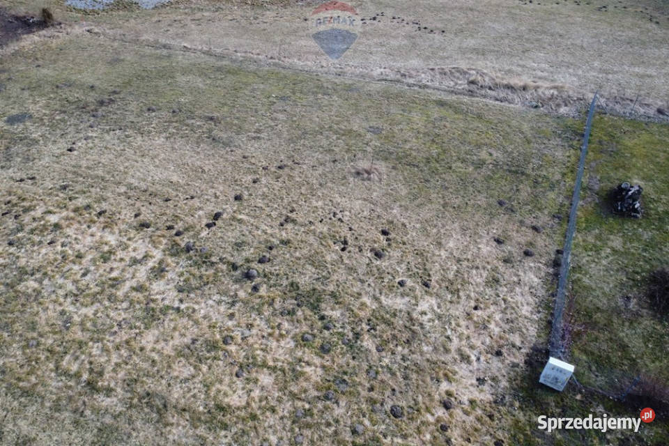 Działka na Mazurach Guty Rożyńskie sprzedam