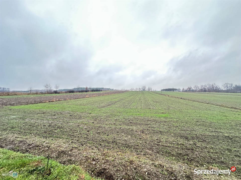sprzedaży działki Gnojno 5800m2