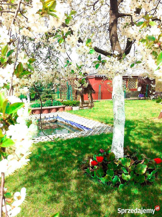 Działka ogrodowa dolnośląskie Głogów