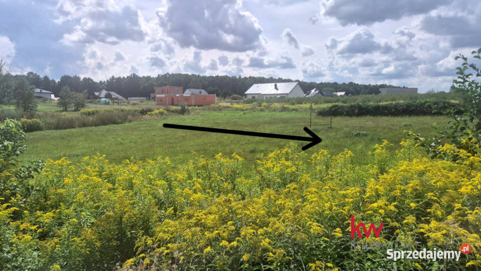 Działka Paniówki 2064m2
