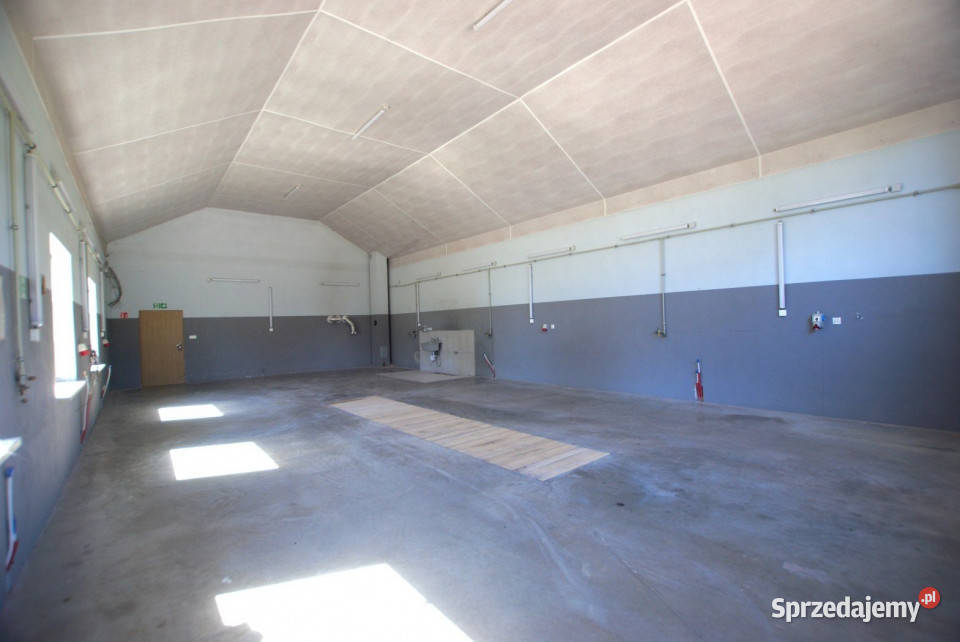 Do wynajęcia lokal Bodzentyn 185m2 Wynajem