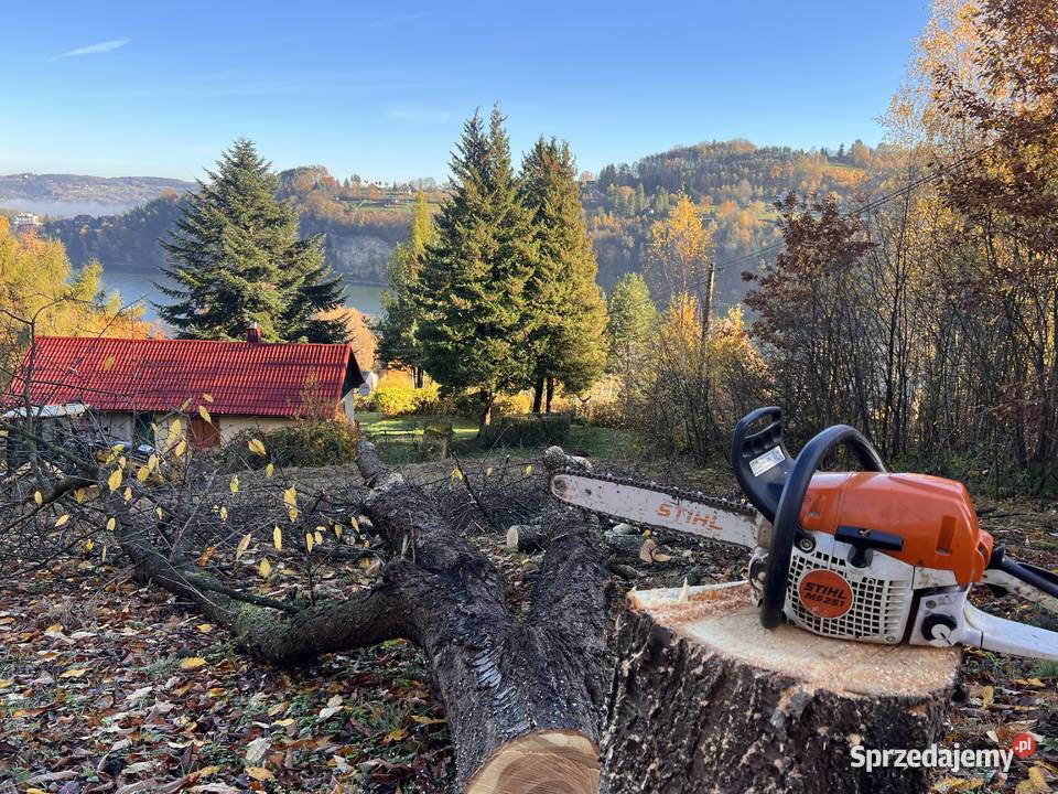 Usługi podnośnikiem koszowym 22m małopolskie Nowy Sącz