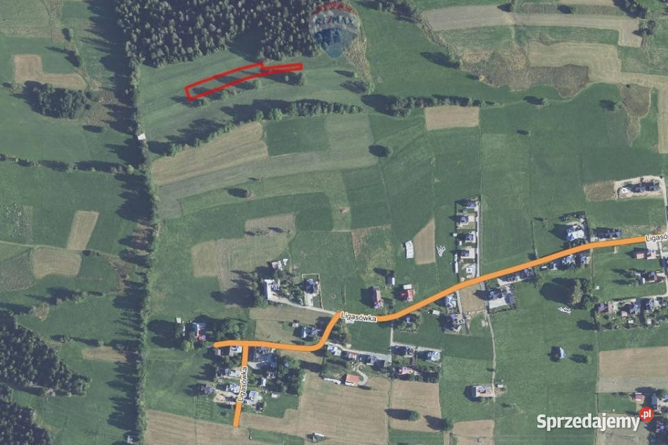 DZIAŁKA ROLNA SPRZEDAŻ ZĄB LIGASÓWKA Ząb