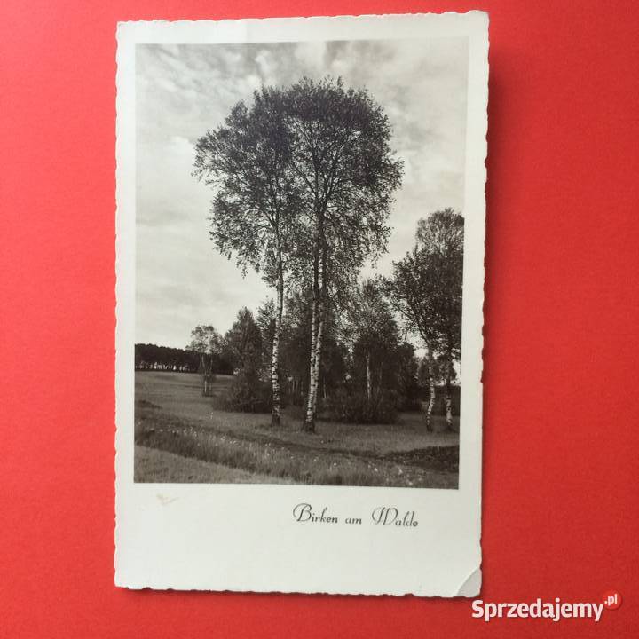 1638 Widokówka Niemiecka zachodniopomorskie Szczecin