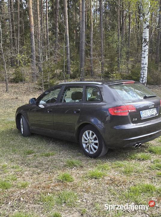 Audi a3 8p benzyna