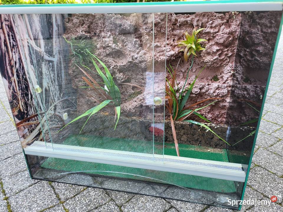 Terrarium 50x30x40 pająka jaszczurkiwęża