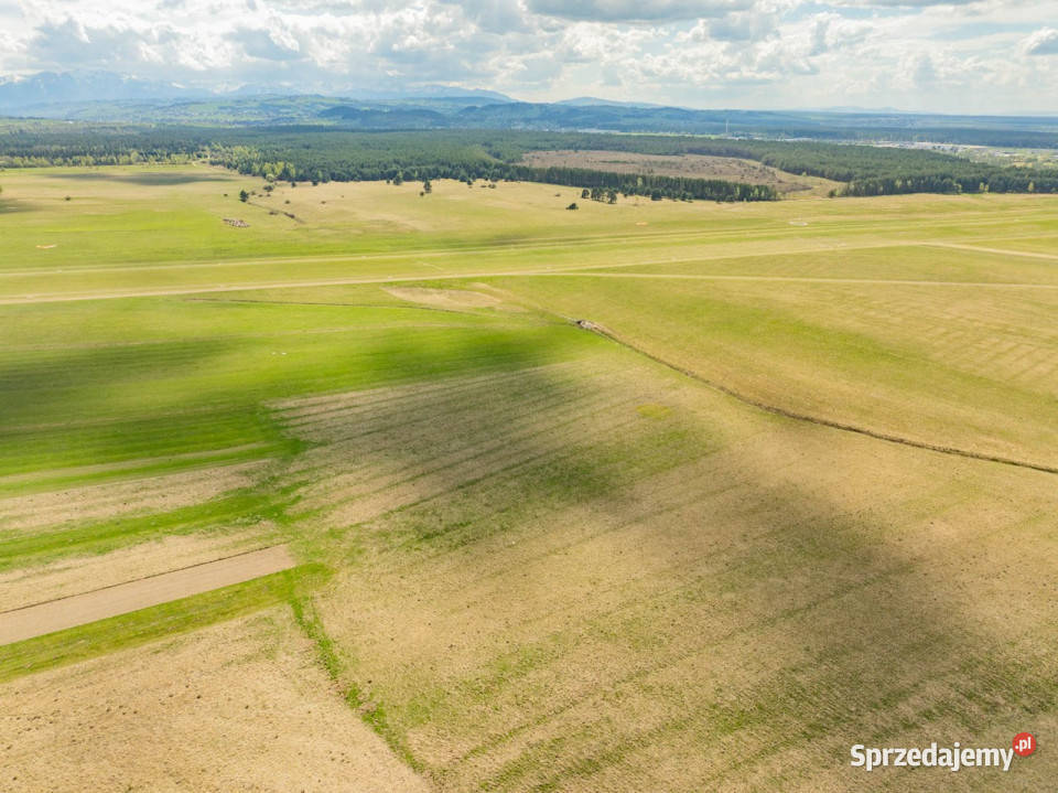 DZIAŁKA USŁUGOWA W NOWYM TARGU polna Sprzedaż Nowy Targ
