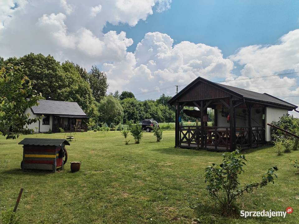 Działkę z domkiem 35m Prawecin mieszkalny Sprzedaż Prawęcin