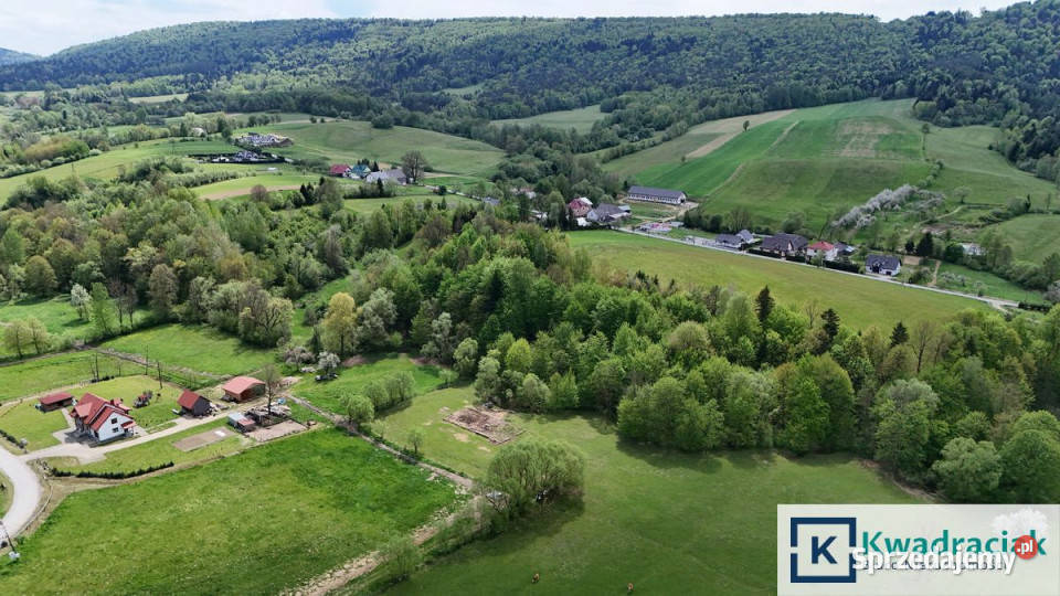 Działka Paszowa 3287 metrów 63zł/m2 sprzedam