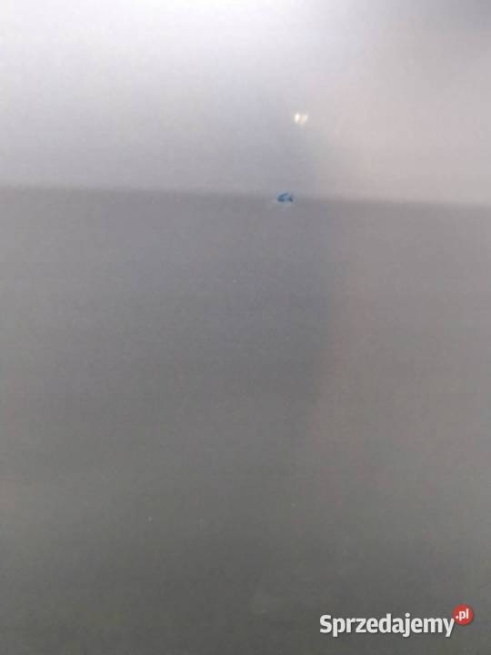 DRZWI PRAWY PRZÓD Toyota Auris I 20062012 sprzedam