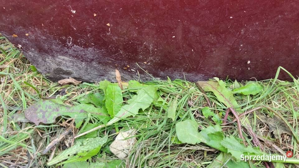 Drzwi Skoda Felicia Łagów