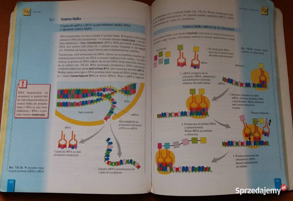 Biologia XXI wieku podręcznik część 2 Kultura i Rozrywka Łódź