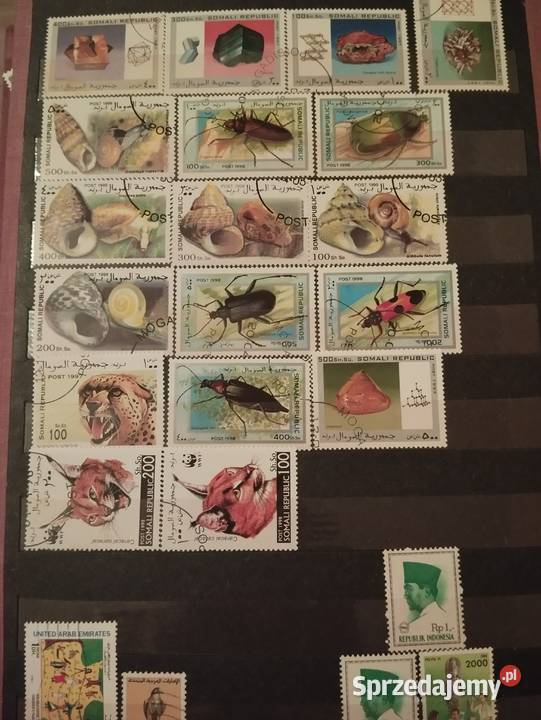 Piękna kolekcja znaczków w rodzinie lat Olsztyn