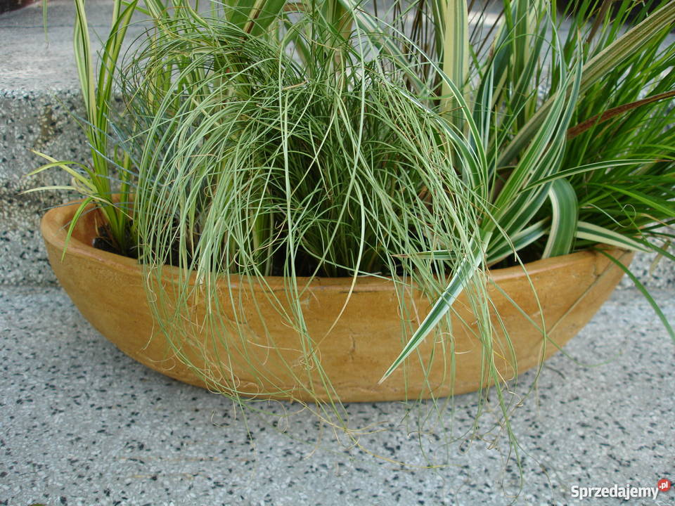 Sprzedam donicę ceramiczną 57 mrozoodporna Owal Jelenia Góra sprzedam