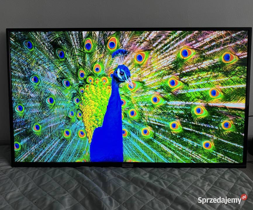 Telewizor TCL 43P615 43 LED 4K Android Wifi Telewizory lubuskie Żagań