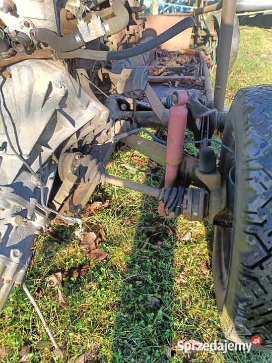 Baggy garbus dolnośląskie Wrocław