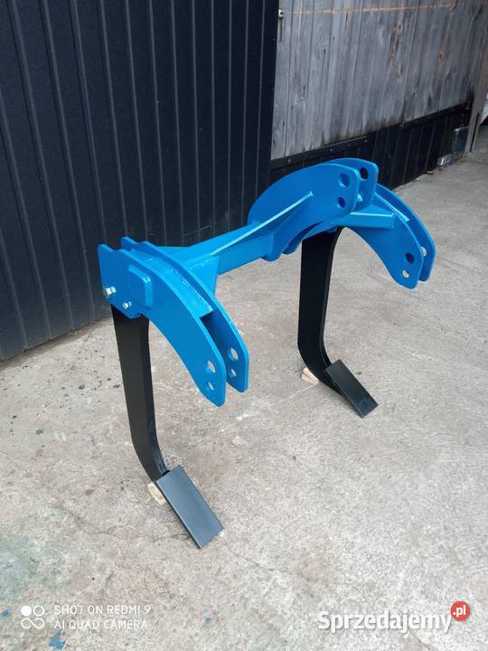 Głębosz 2 zęby zębny nieuszkodzony