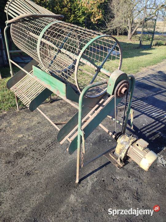 Sortownik do ziemniaków z silnikiem z wielkopolskie Gołuchów