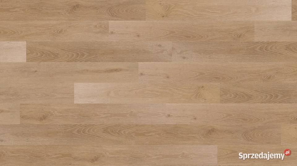 Panele winylowe ASTORGA Żary