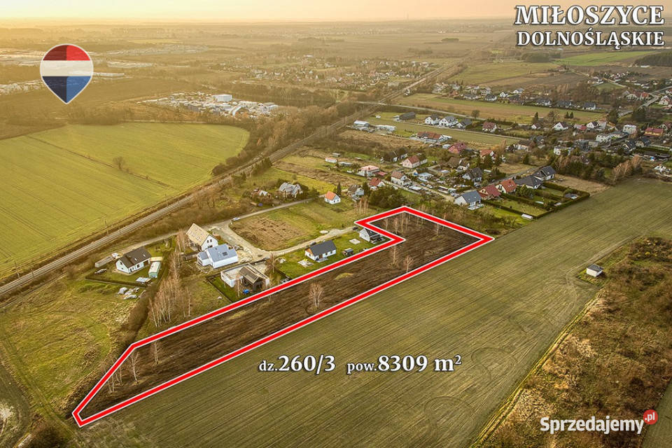Działka inwestycyjna 8309 m z MPZP koło Miłoszyce sprzedam