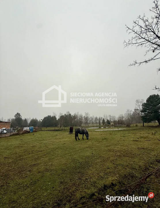 Ogłoszenie grunt 2500m2 Gdynia pomorskie