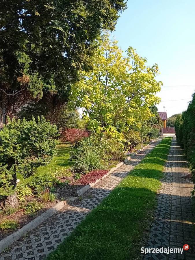 Sprzedam Dom blacha Grabina Radziwiłłowska sprzedam