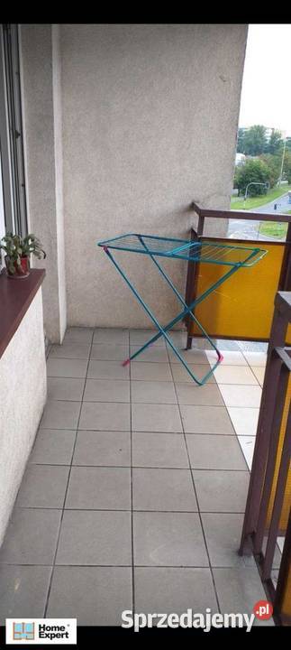 3pok 50met Bujwida BALKON Wrocław