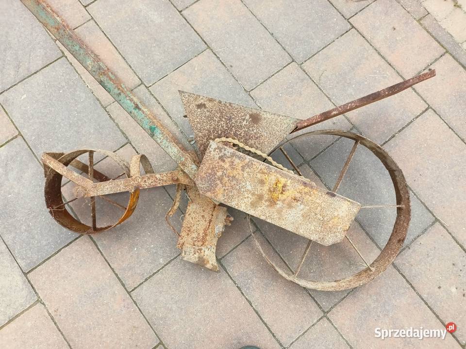 Siewnik do kukurydzy