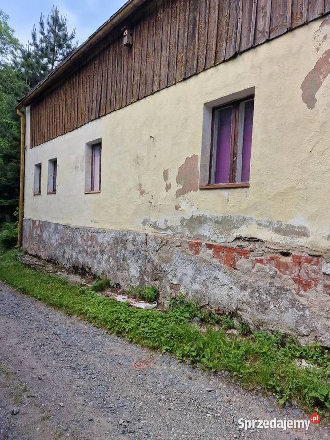 Syndyk sprzeda nieruchomość dolnośląskie Kłodzko