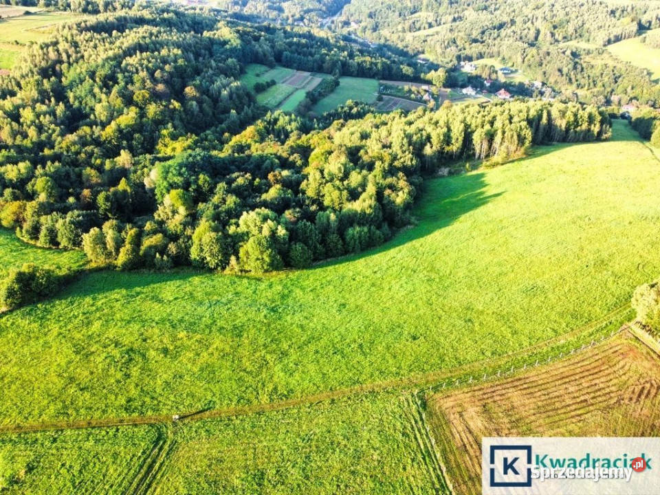 Grunt sprzedam Lutcza 44800m