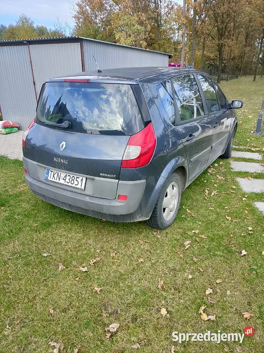 Renault scenic Scenic Końskie