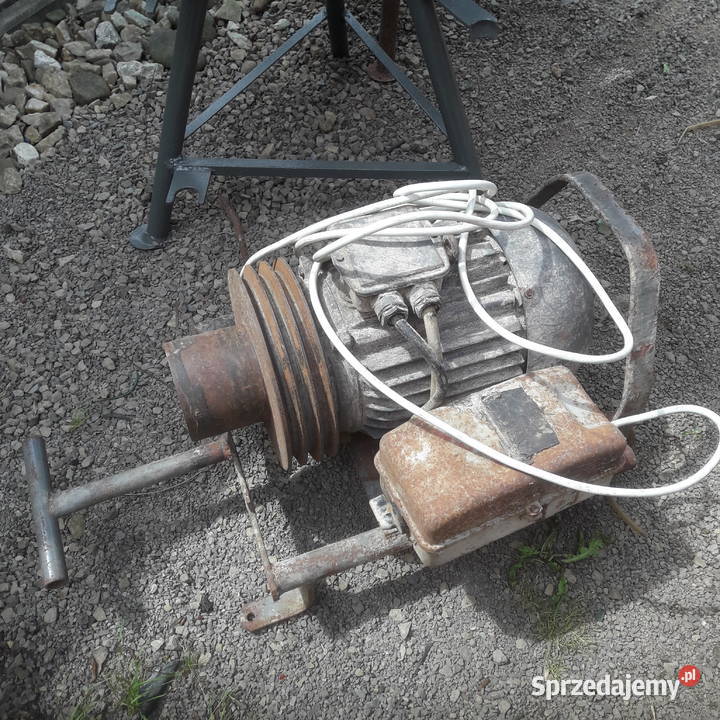 Śrutownik bąk Padew Narodowa