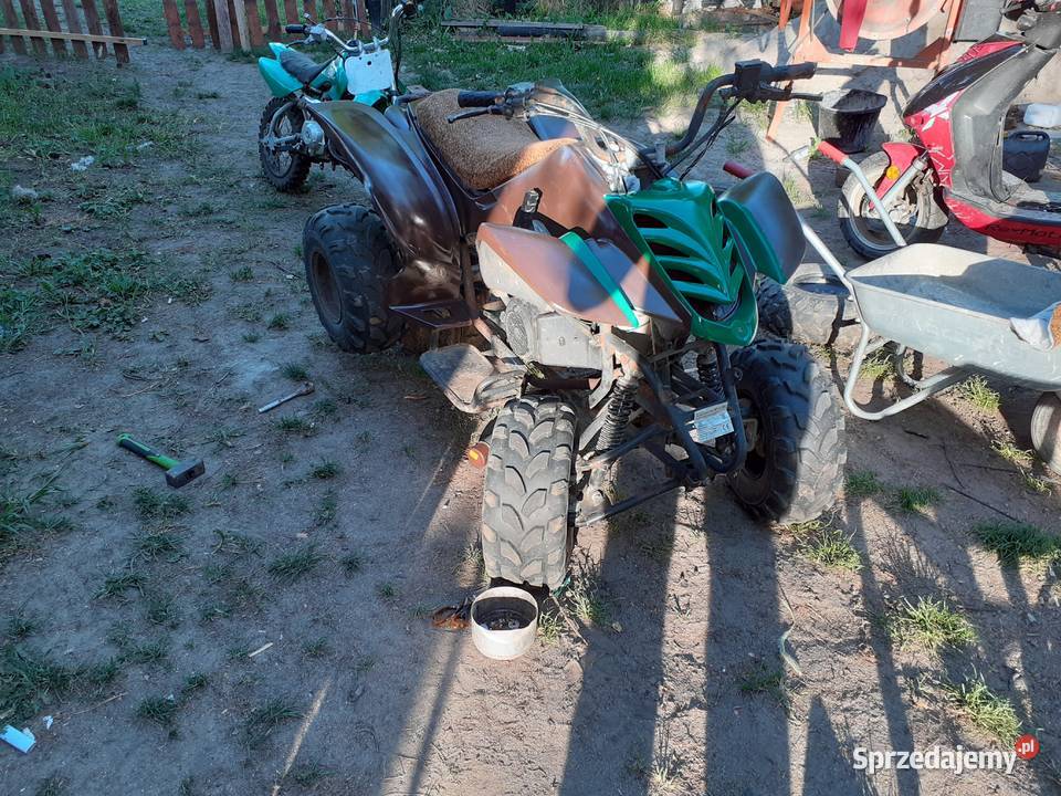 Kingway Alpinus 150 1km Wolin