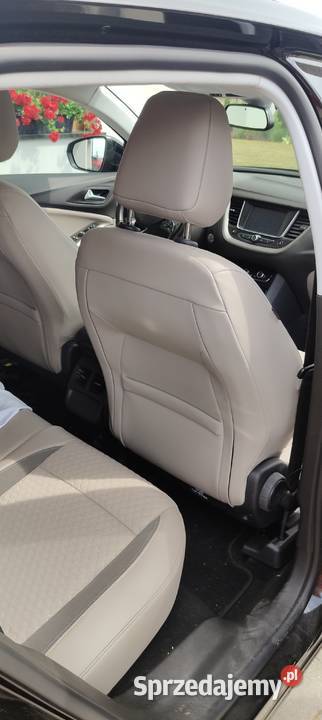 Opel Grandland X Krzeszów