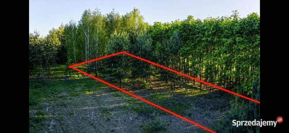 Działka bud 2900 M2 Łukawska Wola WZ ZADRZEWIONA