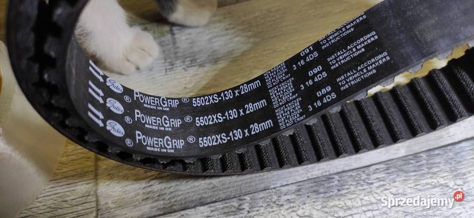 5502XS130x28mm pasek rozrządu ford transit Kiełczewice Dolne sprzedam