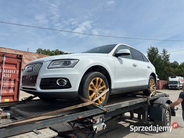 20TDi 190 Manual HAK ELKLAPA rozrzadzie sprzedam