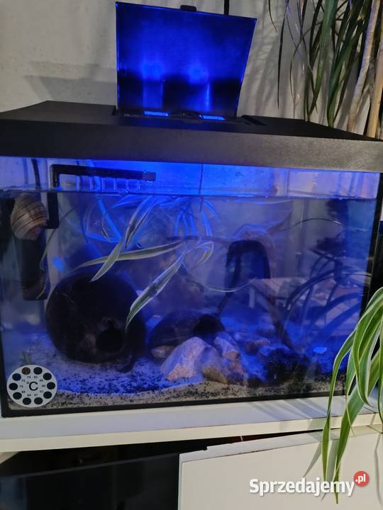 Sprzedam akwarium Jędrzejów