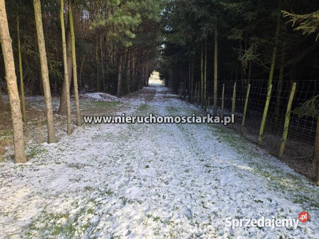 Działka Gorzyce 54060m2