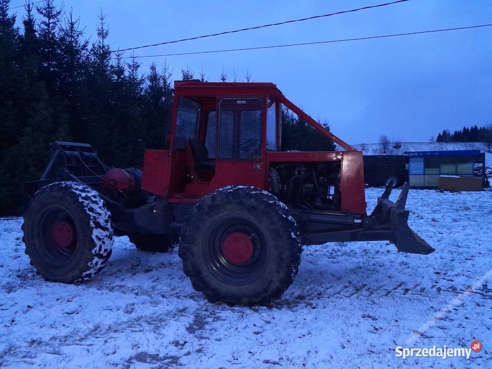 Lkt 81 stan Hoczew sprzedam