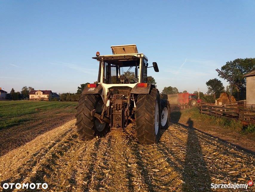 Lamborgini 1306 kujawsko-pomorskie Brodnica sprzedam