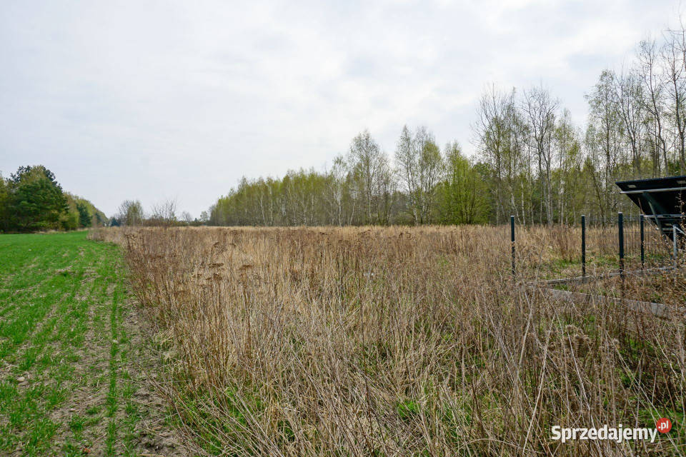Kompleks 7 działek pod zabudowę jednorodzinną 4036m2 Skierniewice sprzedam