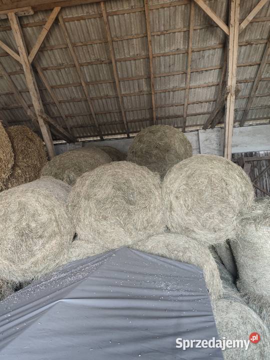 Sprzedam siano łódzkie Piątek