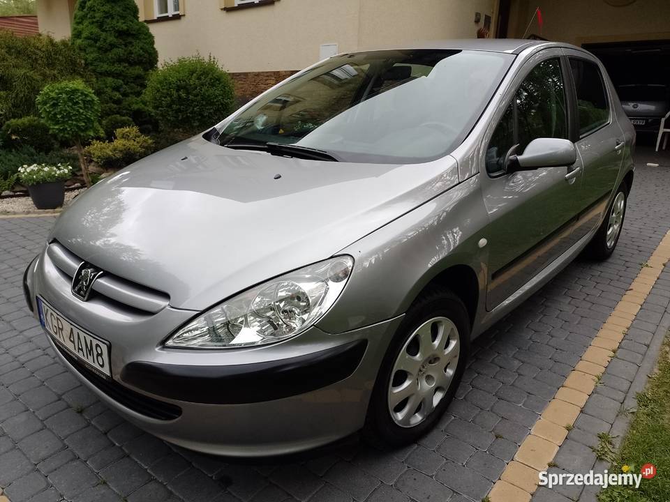 Peugeot 307 2005r Benzynka 1400 16V manualna podkarpackie Jasło