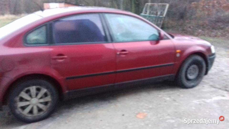 Passat b 5 Passat Końskie