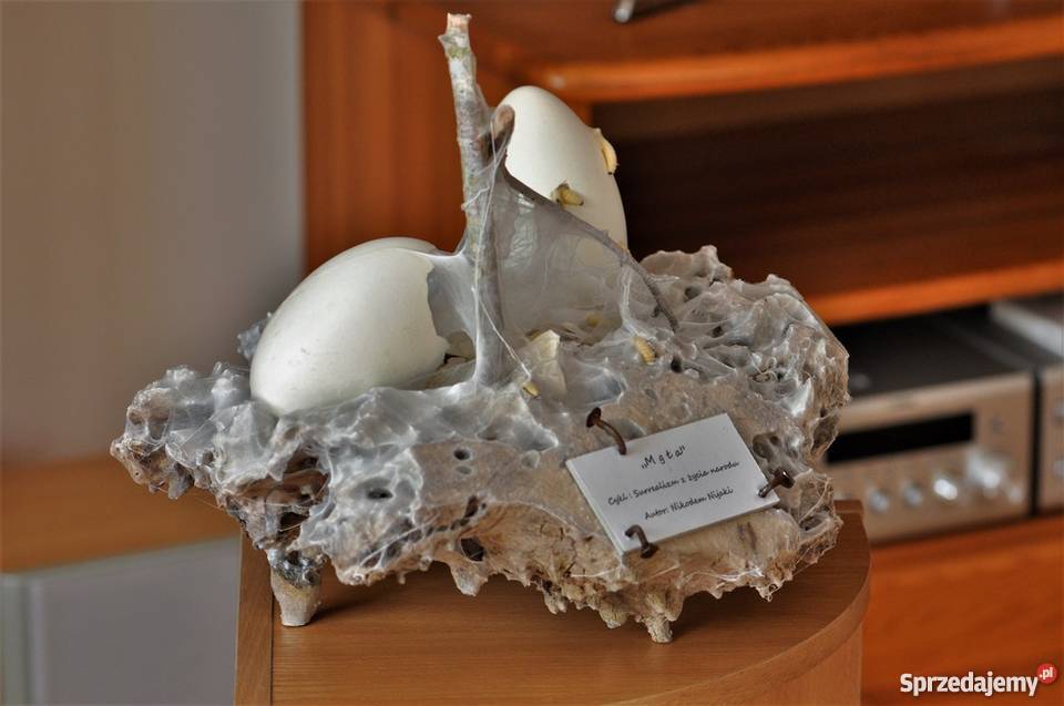 MGŁA Instalacja artystyczna Współczesna Sztuka współczesna wielkopolskie Radzewice