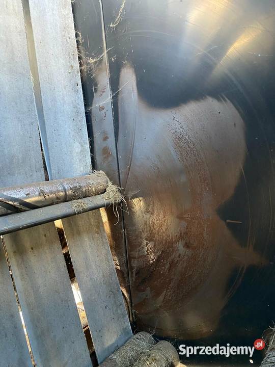 Prasa VICON 1601 nieuszkodzony Rolujące (belujące) Świątkowice