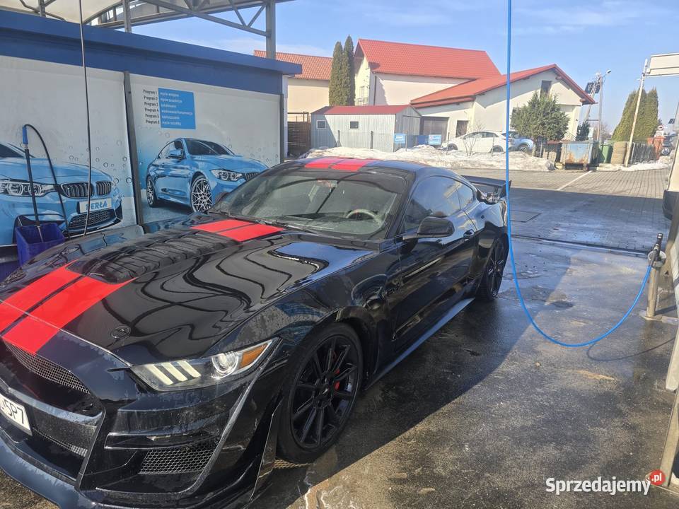 Mustang GT 50 450koni Jabłonowo Pomorskie